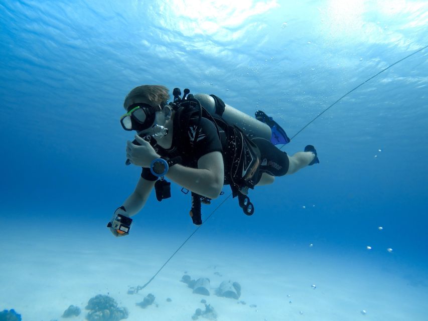 Beginner Scuba Dive with Scubapoint Tenerife in Turtle Area - Price and value: what you really get for $88