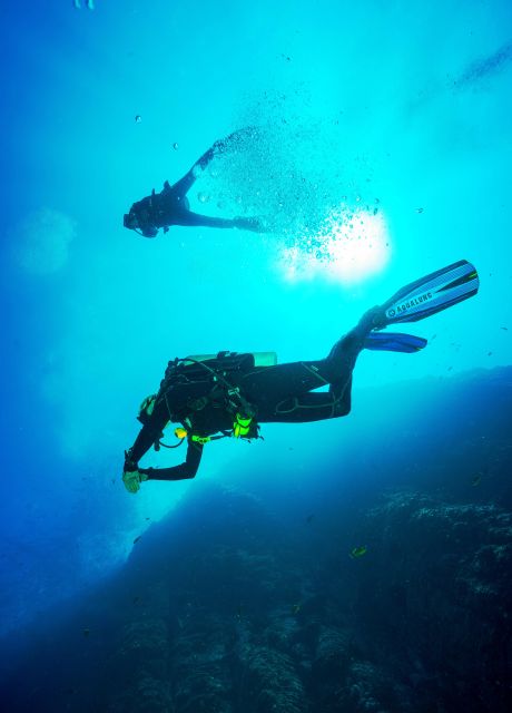 Beginner Scuba Dive with Scubapoint Tenerife in Turtle Area - Puerto Colón meeting point: where your plan starts