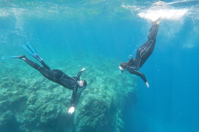 Boat Excursion to visit underwater lava tongues - What You’ll Actually See Below: Rock Shapes and Sea Life