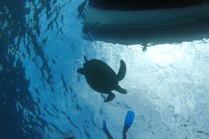 Boat Excursion to visit underwater lava tongues - Weather Rules: How to Think About Cancellations and Sea Conditions