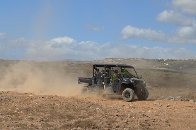 Buggy or Quad Tour Volcano Teide in Teide National Park - The reality check: cleanliness and explanation depth