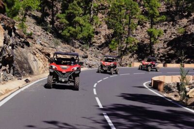 Buggy tour to Teide in Tenerife - Vilaflor stop: fresh-air nature views without the big time sink
