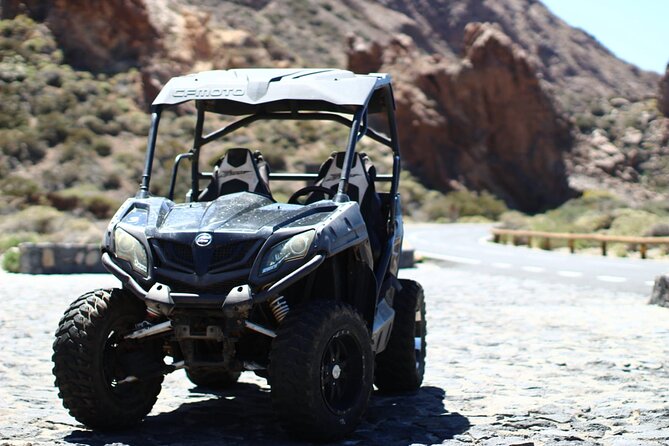 Buggy Tour Volcano Teide in Teide National - Price and value: what $243.10 per group really means