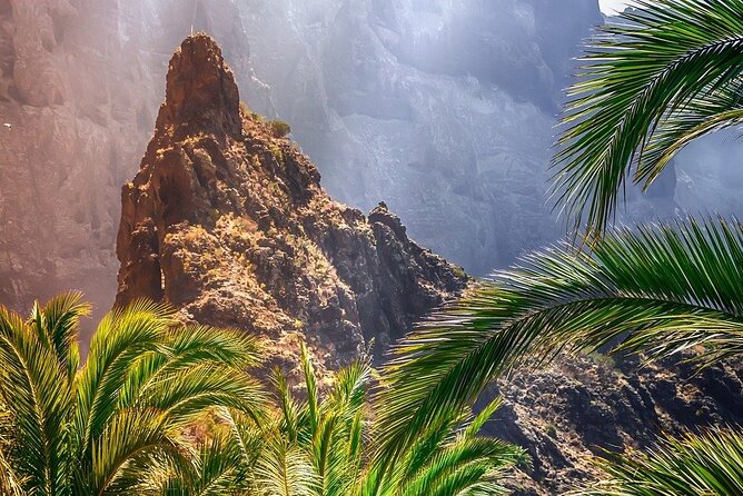 Cabrio Bus Full Day Guided Tour of Teide (SOUTH ONLY) - Las Cañadas de El Teide: where the air feels thinner and the scale hits