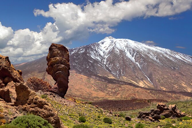 Cabrio Bus Full Day Guided Tour of Teide (SOUTH ONLY) - Masca: 1 hour in the ravines, palm lines, and viewpoint time