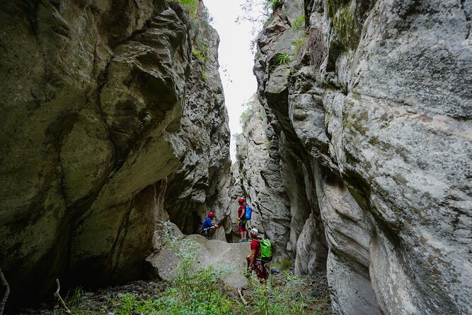 Canyoning in Tenerife South - The climb out: canary pine trees and the end of the descent