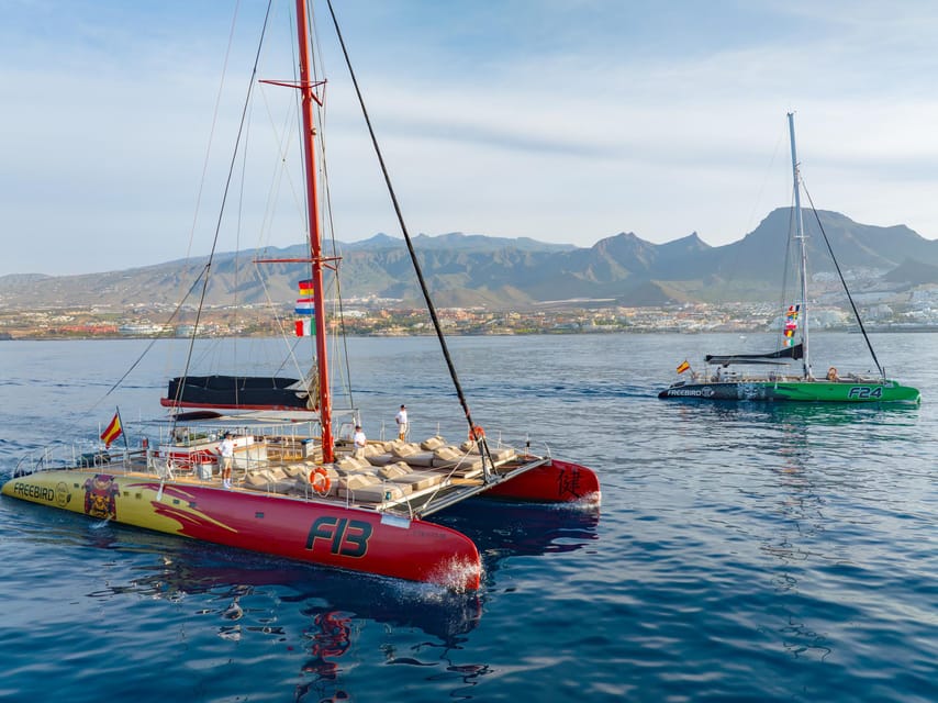 Costa Adeje: Masca and Los Gigantes Whale Watching Cruise - Key highlights I’d prioritize