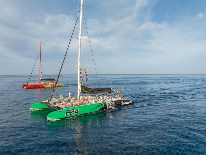 Costa Adeje: Masca and Los Gigantes Whale Watching Cruise - Costa Adeje catamaran whale watching: why this route hits different