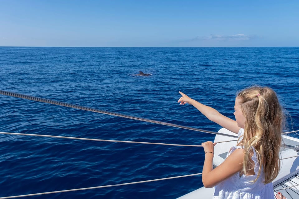 Costa Adeje: Masca and Los Gigantes Whale Watching Cruise - Los Gigantes from the water: photos, views, and a useful break