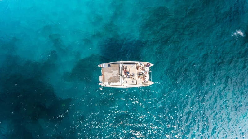 Costa Adeje: Private Catamaran Tour 22 Persons Max - Whale and dolphin spotting: a real attempt, not a guarantee