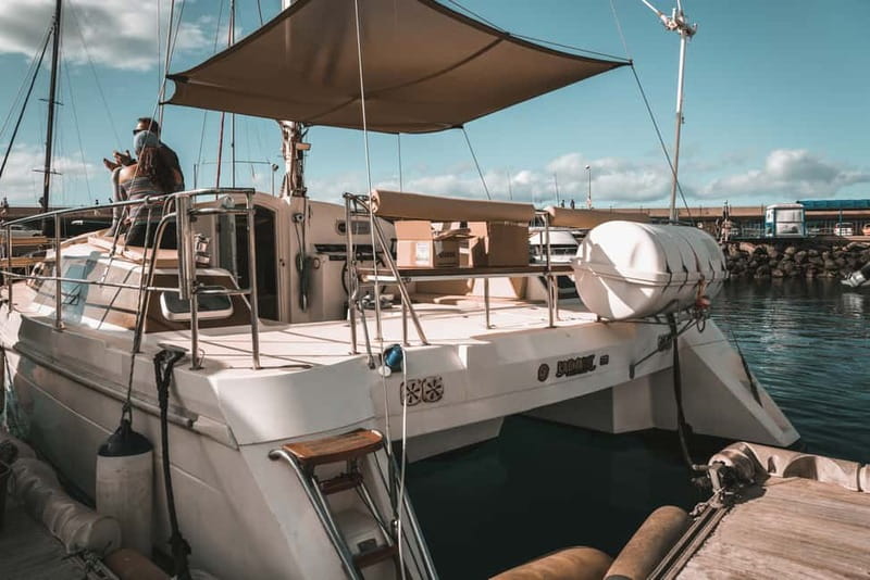 Costa Adeje: Private Catamaran Tour 22 Persons Max - Coast views on the return: beaches you recognize from the water