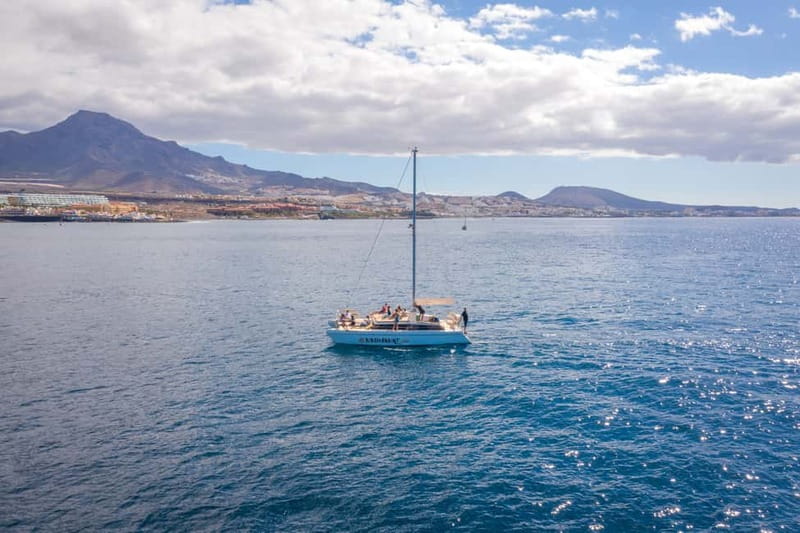 Costa Adeje: Private Catamaran Tour 22 Persons Max - The route: where you start and how the 3 hours flow