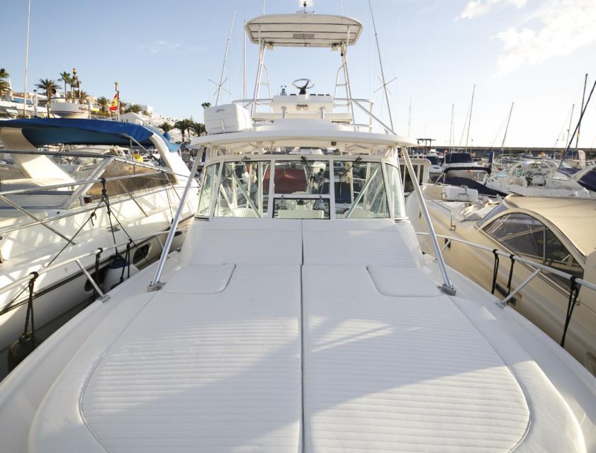 Costa Adeje: Private Yacht Sailing Tour from Puerto Colón - Practical Tips Before You Go