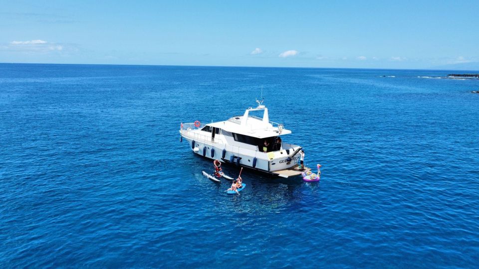 Costa Adeje: Private Yacht Trip with Watersports and Slides - Price and value: what $1,048 really means for up to 12 people
