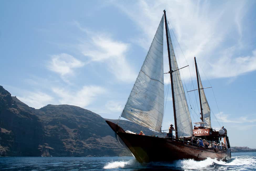 Costa Adeje: Respectful Whale-Watching Sailboat Tour & swim - Deck time matters: upper views, main deck comfort, and the bar