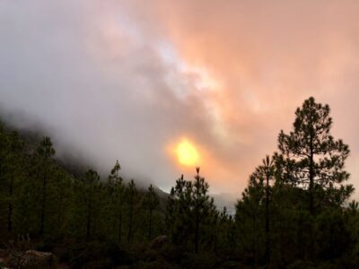 Costa Adeje: Tandem Paragliding Flight - Price and Value for a $125 Tenerife Tandem Flight