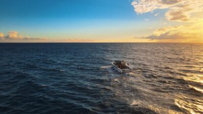 Costa Adeje: Whale and Dolphin-Watching Boat Excursion - Meeting at Lina Yacht and Getting Set for Open-Ocean Viewing