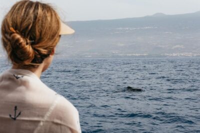 Costa Adeje: Whale & Dolphin Eco-Cruise with Snacks & Drinks - Teno-Rasca Whale Sanctuary: Why This Route Is the Whole Point