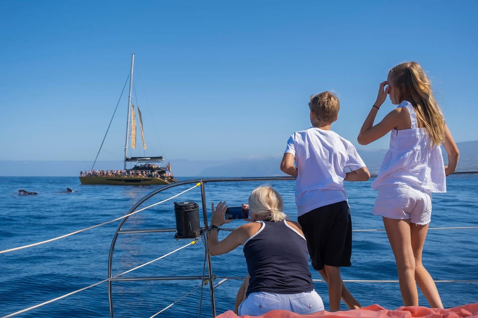 Costa Adeje: Whale Watching Cruise - Comfort and motion: catamaran layout, shade, and seasickness reality