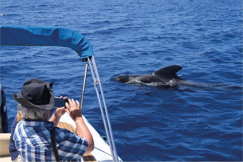 Costa Adeje: Whale Watching Eco Experience with Hydrophone. - Hydrophone listening: the coolest part you can’t fake