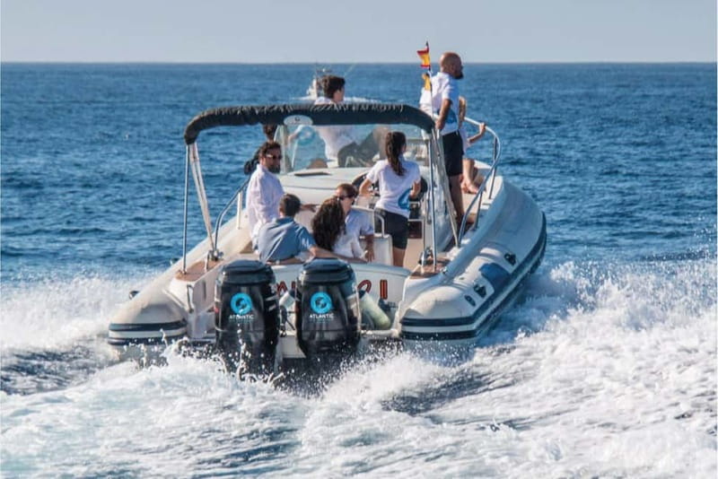 Costa Adeje: Whale Watching Eco Experience with Hydrophone. - Sustainability in action: safe distance, science, and rescue
