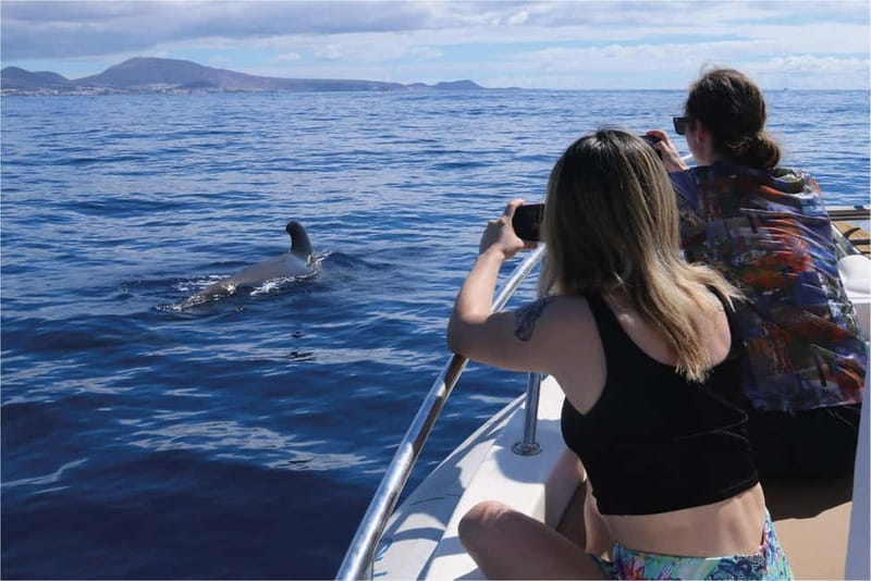 Costa Adeje: Whale Watching Eco Experience with Hydrophone. - The Papacho 2 boat and the small-crew setup