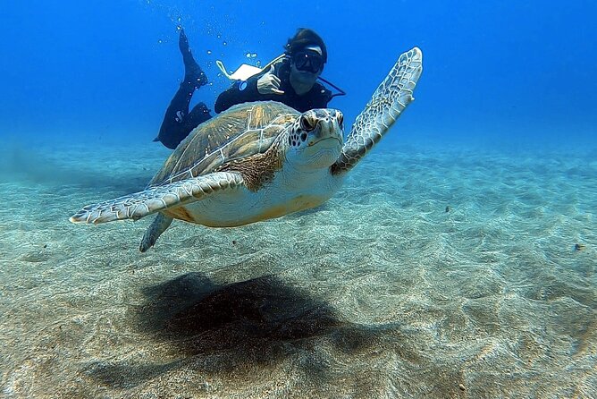 Discover beginner diving in Tenerife - Key things I’d bet you’ll care about