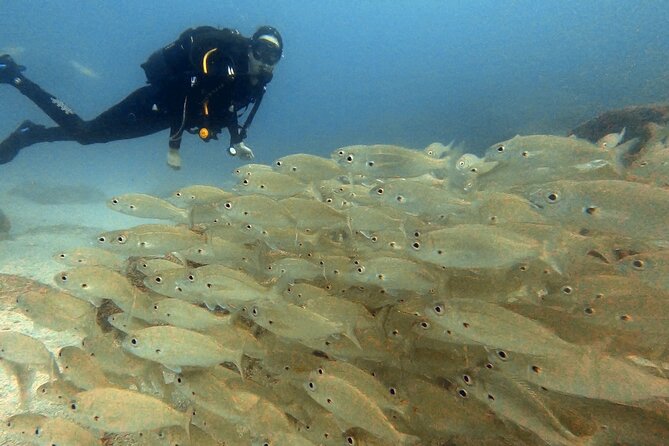 Discover beginner diving in Tenerife - Who this beginner scuba session suits best (and who might hesitate)