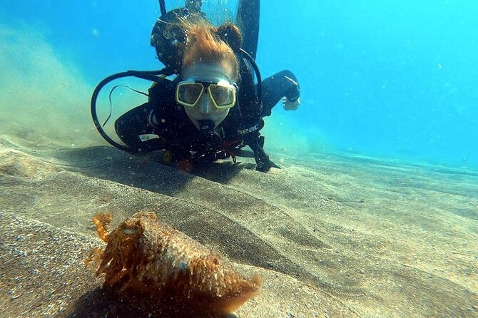 Discover beginner diving in Tenerife - Should you book this beginner scuba in Tenerife?