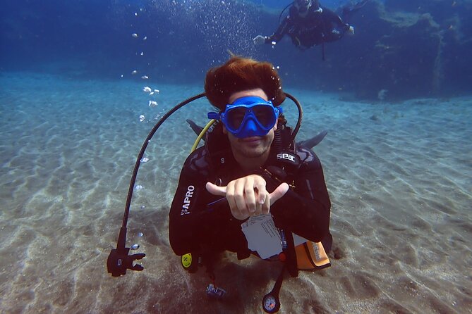 Discover beginner diving in Tenerife - Your 2.5-hour flow: from check-in to an 11-meter max session