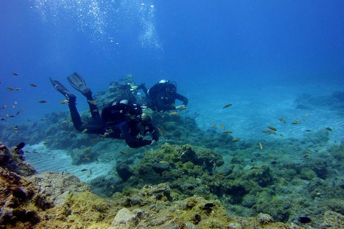 Discover Scuba Diving Adventure in Tenerife - Key things to know before you book
