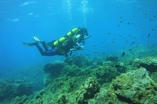Discover Scuba Diving Adventure in Tenerife - Aquarius center in El Fraile: where your scuba session begins