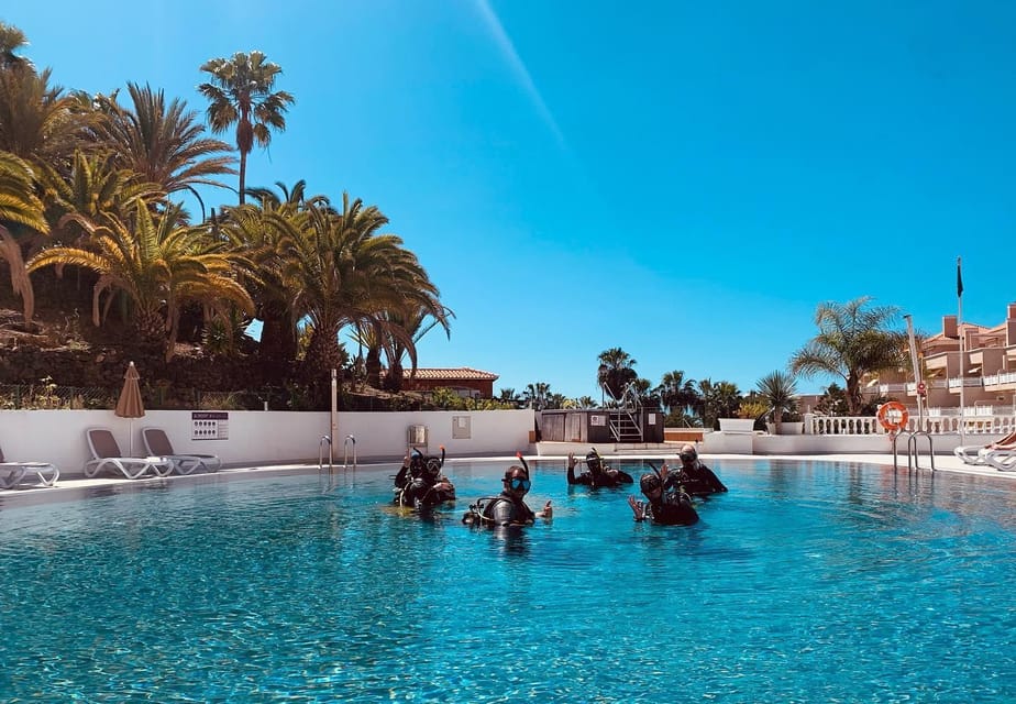 Discover Scuba Diving Experience - Costa Adeje underwater time: fish, octopus, cuttlefish, and possible stingrays