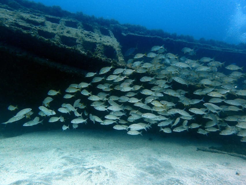 Discover Scuba Diving Experience - Price and value: what $112 covers and what costs extra