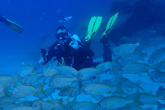 Discover Scuba Diving . First Experience underwater - What the water time feels like: fish, calm guidance, and real sensory change