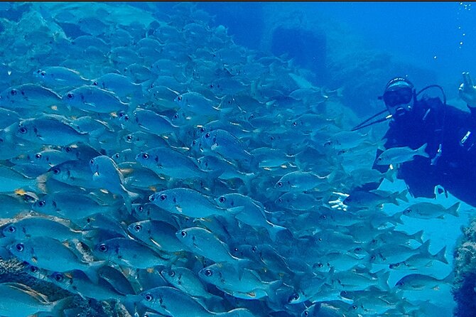 Discover Scuba Diving . First Experience underwater - Group size, pace, and comfort: what max 10 really changes