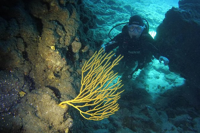 DISCOVER SCUBA DIVING - First step to your certification - Key highlights at a glance