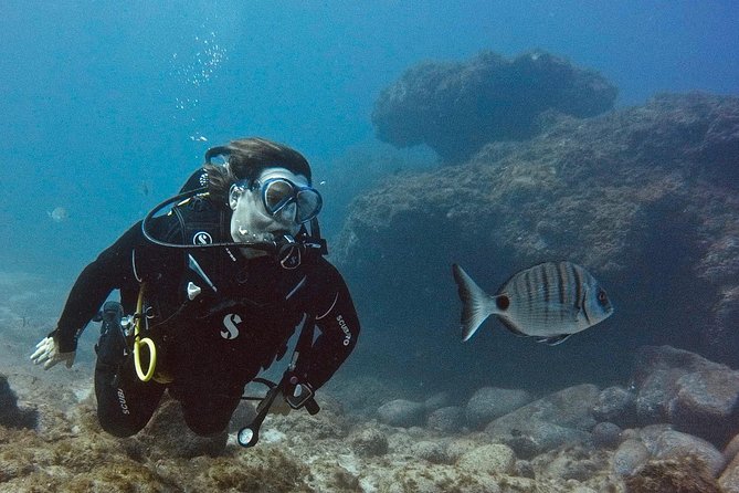 DISCOVER SCUBA DIVING - First step to your certification - Your First Scuba Steps in Tenerife’s Las Galletas