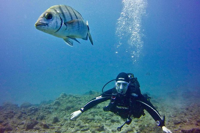 DISCOVER SCUBA DIVING - First step to your certification - Private, Beginner-Friendly Coaching (Ludovic and Julie’s style)