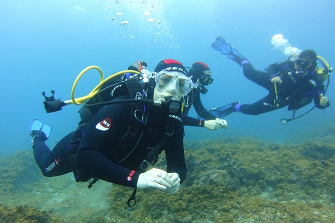 Discover Scuba Diving, free pictures included - Where You Start: Los Abrigos Area Convenience and a Clear Meeting Point