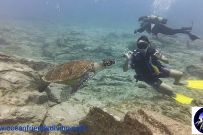 Discover Scuba Diving, free pictures included - The Calm Water Practice: Build Confidence at Your Pace