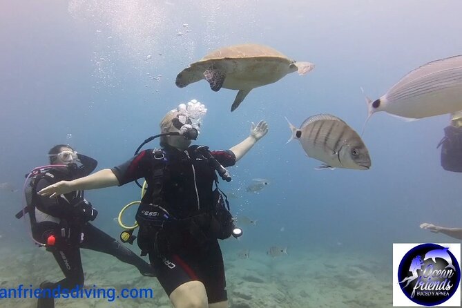 Discover Scuba Diving, free pictures included - Price and Value: What $95.03 Covers (and What You Might Add)