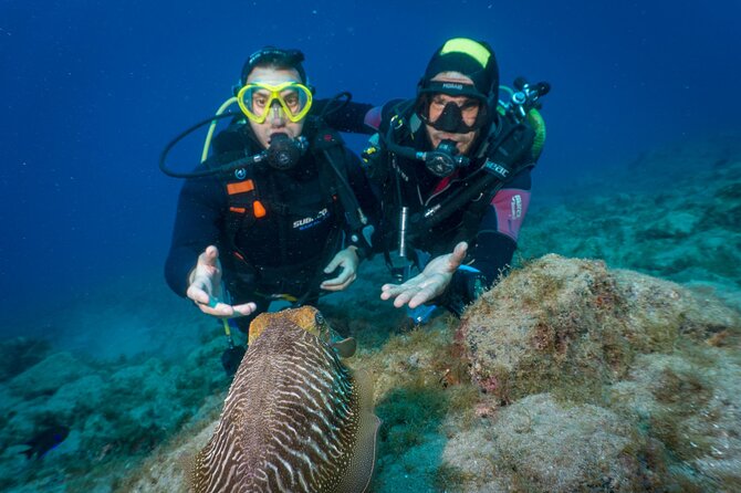 Discover Scuba Diving, Playa de las Americas - Getting started at Aqua-Marina in Playa de las Américas
