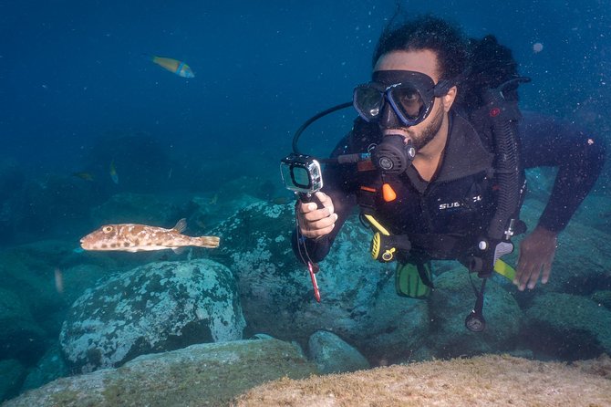 Discover Scuba Diving, Playa de las Americas - Who this is best for in Tenerife