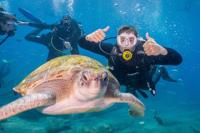 Discover Scuba Diving program: shore + boat dives - Key things I’d pay attention to before booking