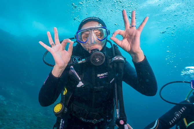Discover Scuba Diving program: shore + boat dives - Tenerife under the surface: why this program works for first-timers