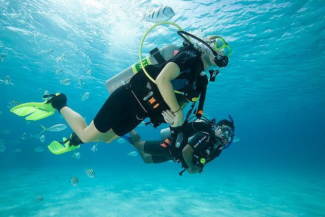 Discover Scuba Diving with two dives in the Ocean in Tenerife with Transfers - Key highlights that make this experience worth it