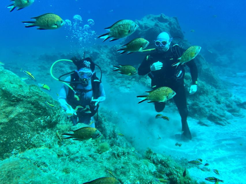 Diving course for beginners in turtle area Tenerife - Key things that make this beginner course worth your time