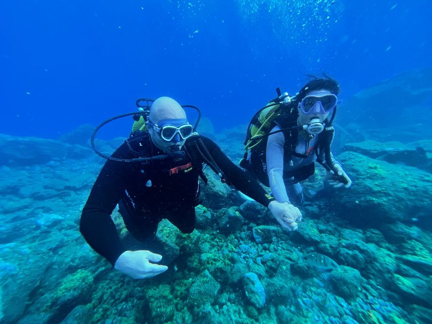 Diving course for beginners in turtle area Tenerife - Why Abades’ turtle area is perfect for your first underwater breathing lesson