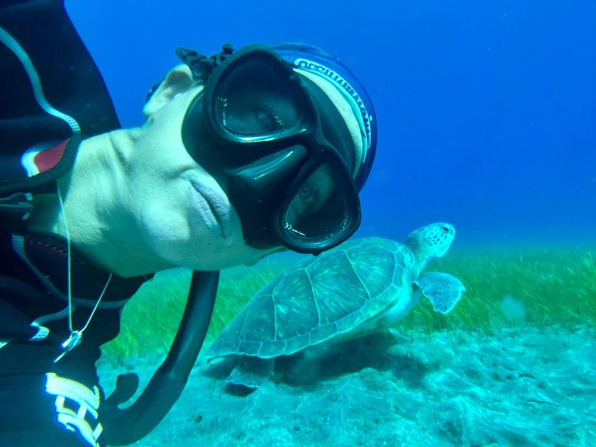 Diving course for beginners in turtle area Tenerife - Meeting point at Playa de Abades: what to do before you get in the water
